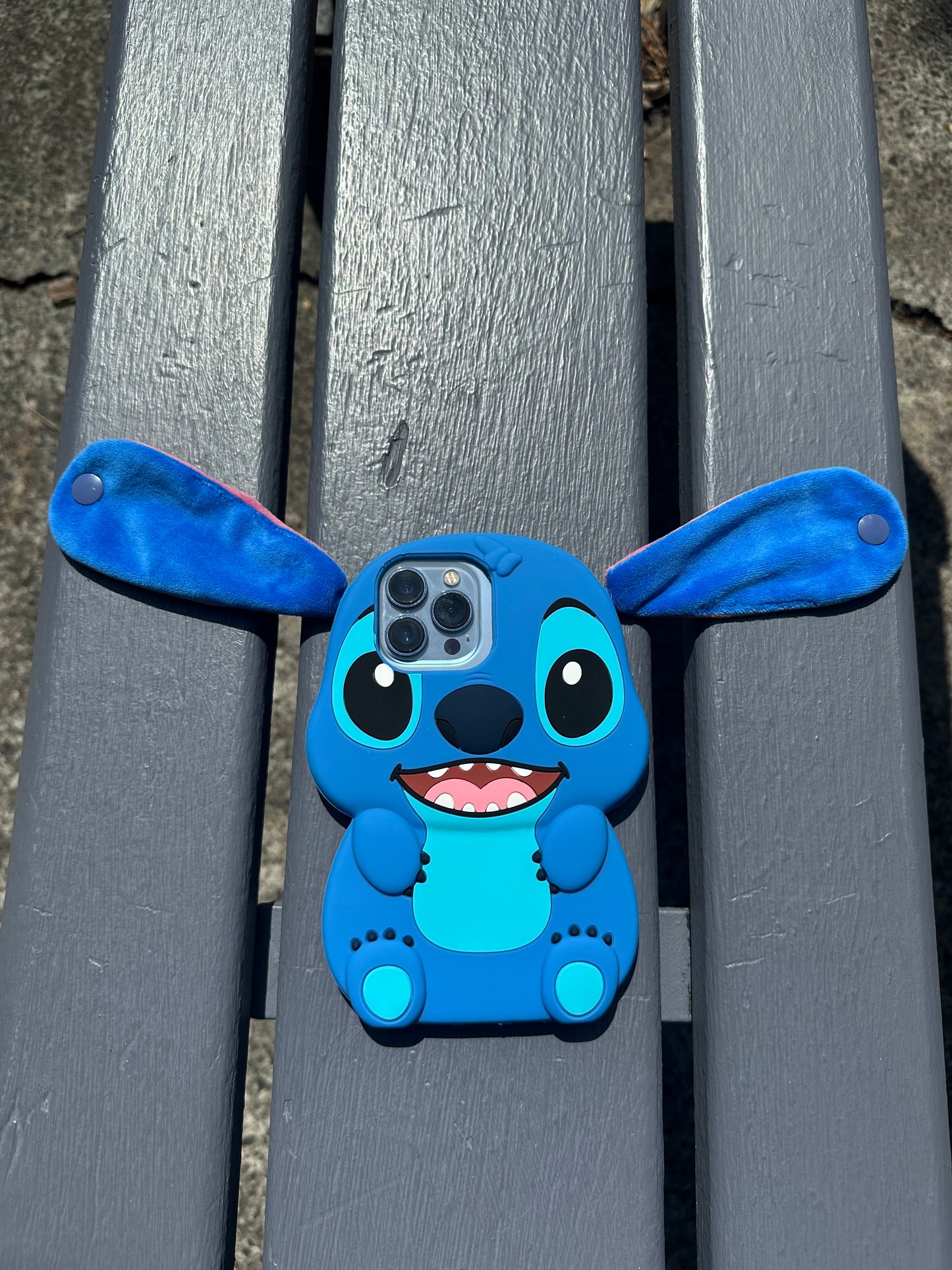 Stitch Case